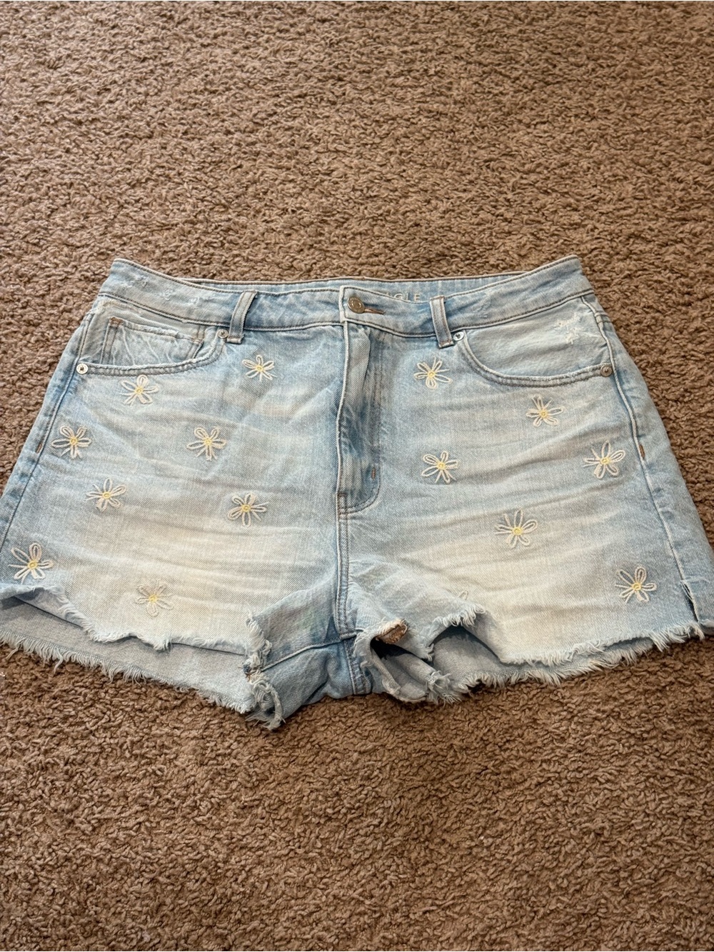 American Eagle Outfitters Light Blue Daisy Embroidered Jean Shorts